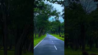 Masinagudi To Ooty Road masinagudi ooty nilgiris   YouTube