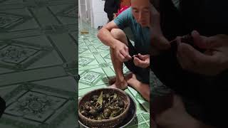 Chồng Trung Quốc ăn ốc việt ngon quá