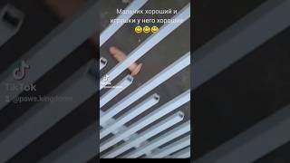 А мальчик то шалунишка оказывается😋😋😋 #шалун #собакиприколы #смешноевидео #funnyvideo #funnyanimals