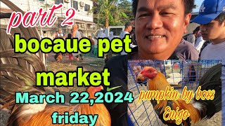 Part 2 bocaue pet market ,March 22 2024 Friday pumpkin by boss enigo .