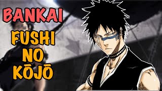 Shuhei Hisagis Broken Bankai Explained - Defeated Soul King Representative / Bleach