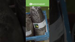 БАГАТОРІЧНІ САДЖАНЦІ | Плодові та ягідні крупноміри | Agro-Market.ua #shorts