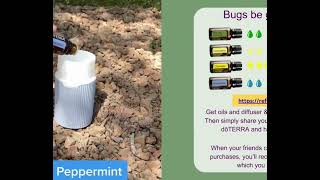 Essential Oils,Bug Be Gone Blend