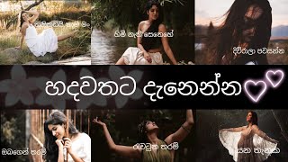 sinhala relaxing song playlist|හවසක හිතට දැනෙන්න අහන්න පුලුවන් සිංදු සෙට් එකක්🎧