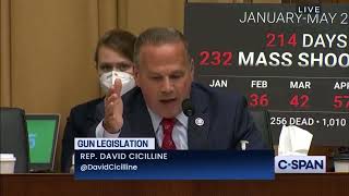 Rep. David Cicilline "spare me the bullsh1t about constitutionional rights."