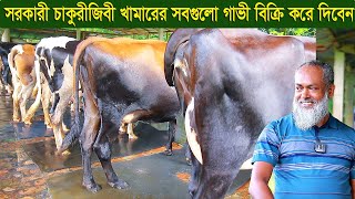 সরকারী চাকুরীজিবী খামারের সবগুলো গাভী বিক্রি করে দিবেন dairy farm