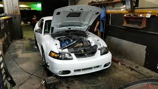 1252whp Mustang Cobra