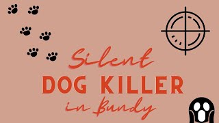 There's a Silent Dog Killer in Bundaberg...