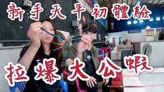 【釣蝦新手必看】新手天平一次上手  天平量水深  爽拉大公蝦  鴻昌釣蝦場 史坦特騎士部品