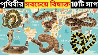 পৃথিবীর সবথেকে  বিষাক্ত ১০টি সাপ । 10 Most Venomous Snake in The Whole World । #unknownknowledge