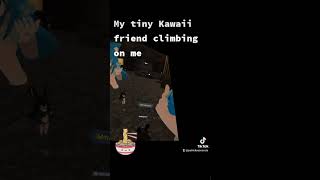 My tiny Kawaii friend climbing on me at The Black Cat mirror (VR Chat anime avatars)