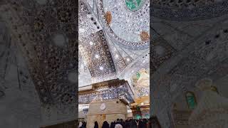 وين الكه مثله خلي _ محمد الجنامي #كربلاء