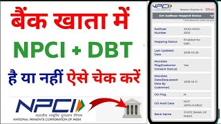 How to check DBT or NPCI  in your account | bank me DBT chek kese kare |