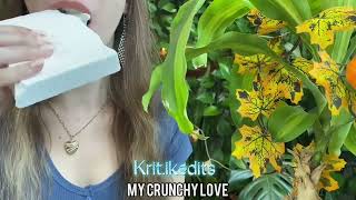 Asmr.Chalk.Dry Crunch.Wet Crunch.Clay.Asmreating.Хруст мела.Хруст природным мелом.Ем мел.Мелоед.Эдит