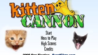 kitten cannon Super score!!!