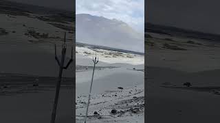 Hunder sand dunes #kashmir #ladaligay #shorts