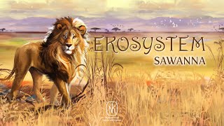 EKOSYSTEM 3 - Sawanna - trailer