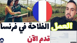 🔴كيفاش نقدر نلقا كونترا ديال الفلاحة في فرنسا 🇫🇷 💥 الأجوبة على الأسئلة ديالكوم #عقود_العمل_الموسمية