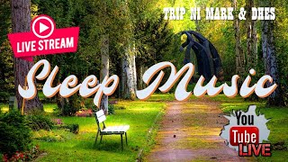 LIVESTREAM NON STOP SLEEP MUSIC #4