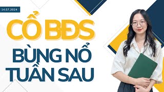 CỔ PHIẾU BĐS BÙNG NỔ TUẦN SAU