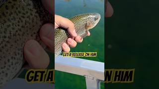 Catching trout on tubes #Trout #TroutJig ￼#catchandrelease #rainbowtrout #troutbum #outdoors #angler