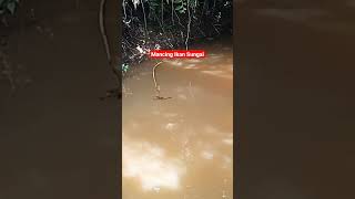 Mancing Ikan Sungai