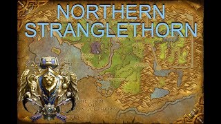 Level Fast in BfA: Northern Stranglethorn - Zone Review