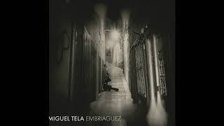 Miguel Tela - O Homem de Ganga Azul