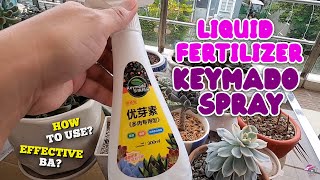 HOW TO USE KEYMADO LIQUID FERTILIZER SPRAY FOR SUCCULENT | By Intri’s TV