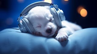 Dog Music: 24 HOURS | Deep Sleep Relaxation Melodies to CALM YOUR DOG #25