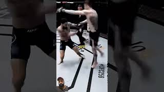 UFC Ultimate Fighting