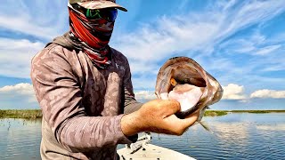 Using Forward Facing Sonar to catch MORE fish on a FROG!!! ( wide open bite)