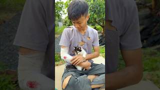 Luckily, the boy and the cat had no problem 😢😱🐈👦#cat #kitten #cutecat #catvideos #pet #animals