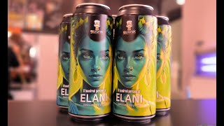 Browar Gwarek - A hundred percent of Elani - Session Hazy IPA