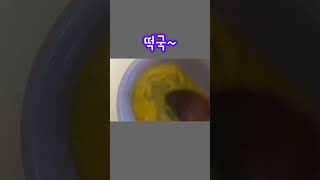 떡국이 생각 나는 계절 ~ 아침에 간단히 떡국 한그릇~#shorts