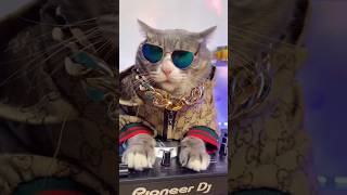 # cut soul  dance video #music #live #cat #catton #funnybabies #ai #cute #song #love