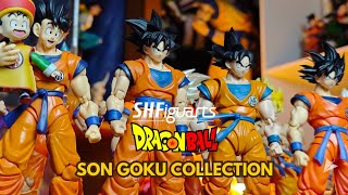 My S.H.Figuarts / Demoniacal Fit / Black hole toys Son Goku Collection