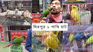 হাটে প্রচুর পাখি এসেছে || Mirpur-1 Pakhir Hatt || কম দামে পাখি |