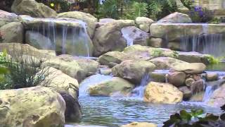 Tropical Garden Ponds and Waterfalls