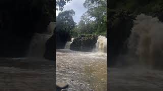 Road To Hana | Twin Falls, Maui HAwaii #hawaiianisland #hawaiivacation