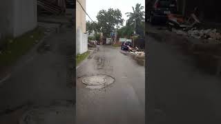 Pacha Mala Poovu | Rainy Time @Chennai