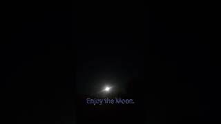 A Dandidoo Holidays Announcement+ Super Blue Moon (Special) #superbluemoonaugust2023 #superbluemoon