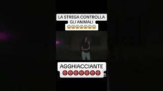 LA STREGA CONTROLLA GLI ANIMALI 😱👹 #paranormale #ghost  #shorts #reels