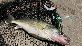 2024 Fall Walleye Pier Fishing in Lake Erie