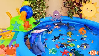 SEA ANIMALS FOR TODDLERS: SHRIMP, PUFFERFISH, MOLA MOLA, NARWHAL, ANGLERFISH, SEAL, AND OTHERS