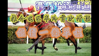 賽馬投資-30/4/2023 香港賽馬第4場貼士心水 WIN PLACE 3X4 HK Horse Racing Tips R4