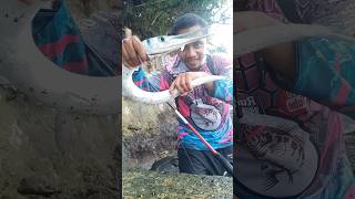 dapat cendro monster | Ultralight Fishing