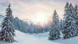 Beautiful winter forest, snow and pleasant music. Красивый зимний лес, снег и приятная музыка.