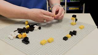 Learn to build a mini LEGO penguin with LEGOLAND Windsor Resort