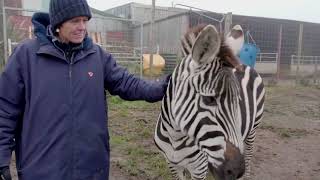 Zebra Conservation part 2